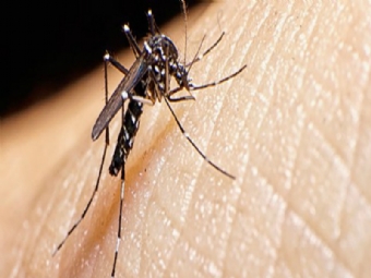 Em apenas uma semana, Paraná registra mais de 5 mil novos casos de dengue