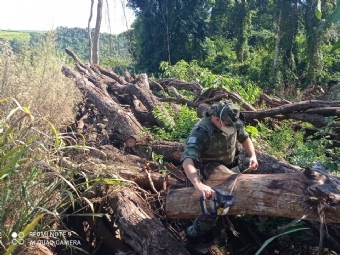 Produtor rural  multado em R$ 43 mil por desmatamento ilegal em Campina da Lagoa