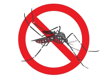 11 Regional de Sade se aproxima de 10 mil casos de dengue; Luiziana registra primeiro bito na regio