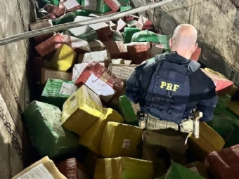 PRF apreende mais de 6 toneladas de maconha, a maior de 2024 no Paran
