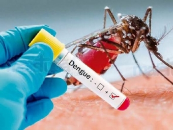 Altamira registra o primeiro caso de Dengue do ano