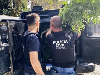 Com ps de maconha e estufa em casa, homem vai preso no Paran