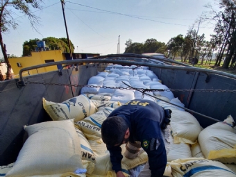PRF apreende 2,7 toneladas de maconha em meio a carga de feijo, em Ubirat