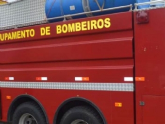 Bombeiro morre ao ser atingido por tronco de rvore