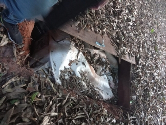 Polcia encontra 425 kg de crack enterrados no Paran; apreenso  a maior do pas, diz PM