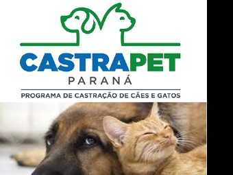 Campina da Lagoa receber o programa CastraPet do Governo Estadual