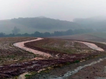 Chuva deixa prejuzos em lavouras de trigo em Roncador