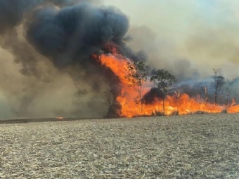 Incndio de grande proporo atinge rea rural em Ubirat