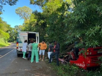 Caminho tomba na serra do Araripe na PR-239 entre Campina da Lagoa e Nova Cantu