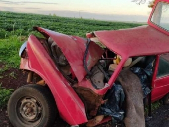 Homem morre aps batida entre carro e caminho na PR 317 em Toledo