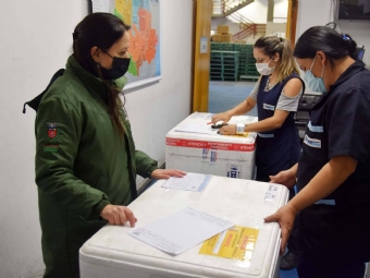 Estado envia mais 671 mil doses de vacinas contra a Covid-19 aos municpios