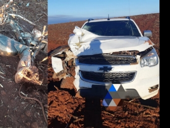 Trabalhador perde a vida na BR-369 prximo ao Trevo de acesso a Campina da Lagoa