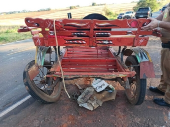 Carroceiro morre aps ser atingido por caminho na PR-492, em Paraso do Norte