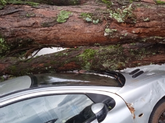 Temporal causa transtornos e estragos em Cafelndia na tarde desta tera-feira, 25
