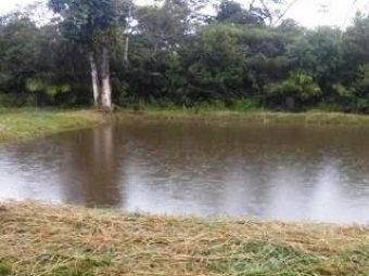 Beb de um ano morre afogado em tanque de peixes no Paran