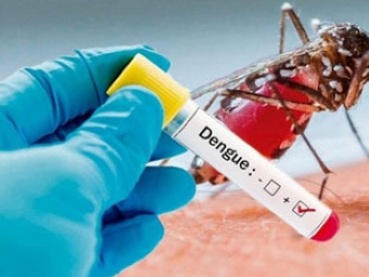 Paran registra 848 casos e 3 mortes por dengue desde agosto, diz secretaria