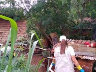 Nmeros projetam nova epidemia de dengue no Paran, alerta a Sesa