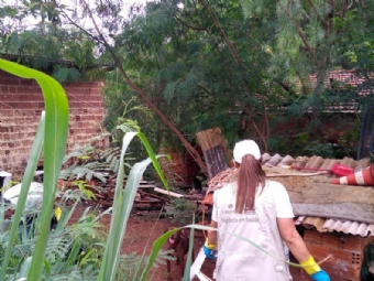 Paran registra 57 bitos e mais de 76 mil casos por dengue