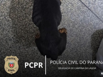 Mulher  presa por maus-tratos a ces em Campina da Lagoa; animais estavam em estado de extrema magreza
