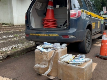 Com mulher grvida e duas filhas, motorista foge da PRF, bate carro e  preso com anabolizantes