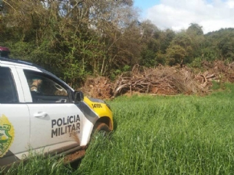 Estado aplica R$ 1 milho em multas e apreende madeira nativa em ao contra o desmatamento
