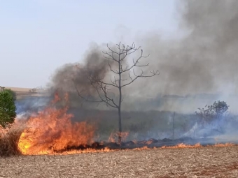 Queimada quase termina em tragdia em Campina da Lagoa