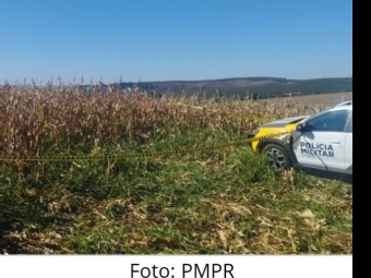 Corpo em decomposio  encontrado em lavoura de milho em Engenheiro Beltro